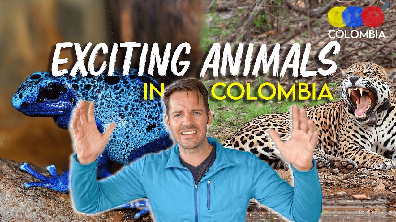 The Most EXOTIC ANIMALS In Colombia – Colombian Travel Guide - Travel & Go