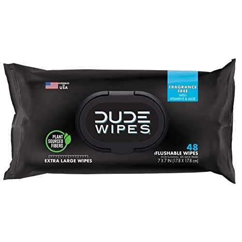 DUDE Wipes Flushable Wipes – 1 Pack, 48 Wipes – Unscented Extra-Large Wet Wipes with Vitamin-E & Aloe for at-Home Use – Septic and Sewer Safe